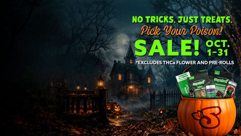 30% OFF With Coupon Code: TREAT30