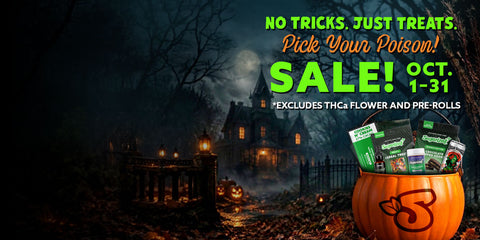 30% OFF With Coupon Code: TREAT30