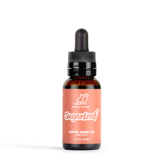 Full Spectrum CBD Oil for Dogs | 250 mg | Bacon Flavor