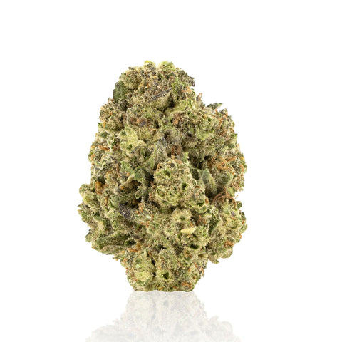 thca flower bud runtz